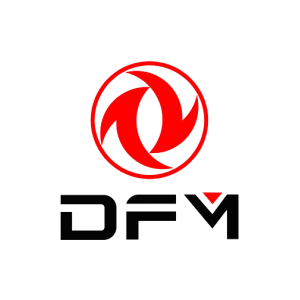 Reparación Carros dfm