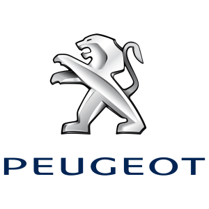 Reparación Carros peugeot