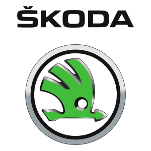 Reparación Carros skoda